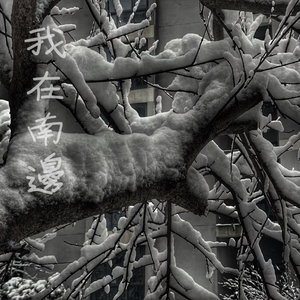 刘涛一级毛片总共多少级
