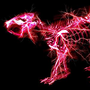 刘涛一级毛片总共多少级
