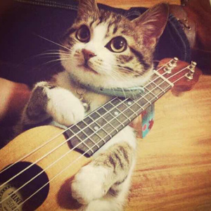 刘涛一级毛片总共多少级
