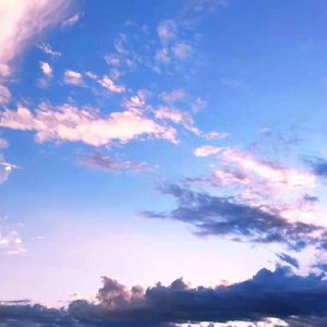 刘涛一级毛片总共多少级
