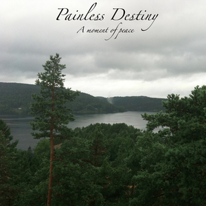 刘涛一级毛片总共多少级
